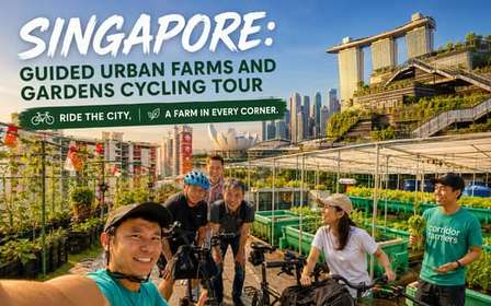 Singapour : visite guidée à vélo des fermes et jardins urbains