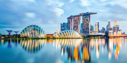 Les meilleures réserves naturelles de Singapour pour observer les oiseaux
