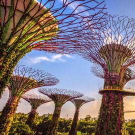 Singapour : Gardens by the Bay billet d'entrée