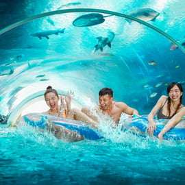 Singapour : Billet d'entrée au parc aquatique Adventure Cove