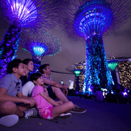 Les crépuscules de Singapour avec croisière fluviale et spectacles de lumières