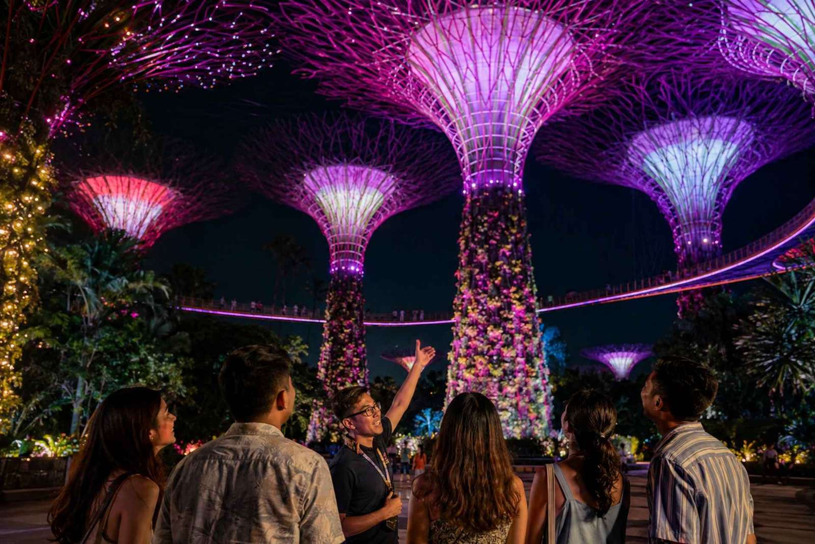Visite de nuit des Jardins de la Baie avec les dômes et le spectacle Garden Rhapsody