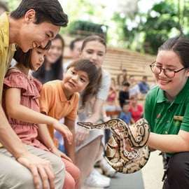 Singapour : billet d'entrée au zoo, trajet en tramway et transfert à l'hôtel