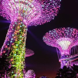 Singapore Gardens by the Bay avec billet d'entrée et prise en charge