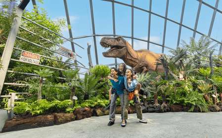 Singapour : Gardens by the Bay billet d'entrée