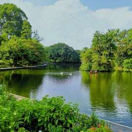 Visite à pied des jardins botaniques et de Tiong Bahru avec petit-déjeuner