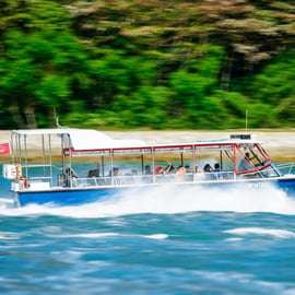 Singapour : Billets pour Albatross Speedboat Adventures