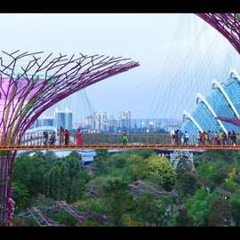 Gardens by the Bay : OCBC Skyway, Flower Dome et Cloud Forest