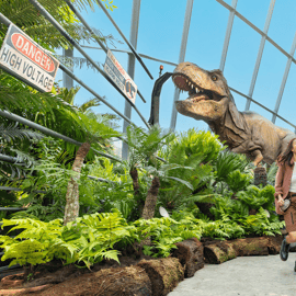 Singapour : Gardens by the Bay billet d'entrée
