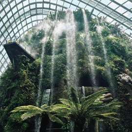 Singapour : billets pour le Flower Dome + la Cloud Forest