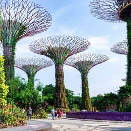Le meilleur de Singapour : Visite à pied privée avec un habitant de la ville