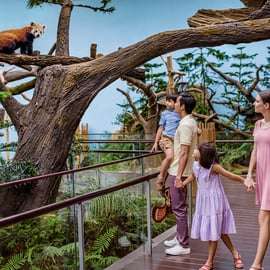 Singapour : billet d'entrée pour River Wonders