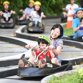 Singapour : Billets Skyline Luge Sentosa