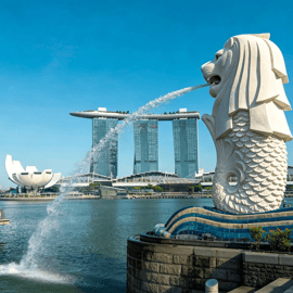 Singapour : visite privée des lieux d'intérêt Instagram en voiture