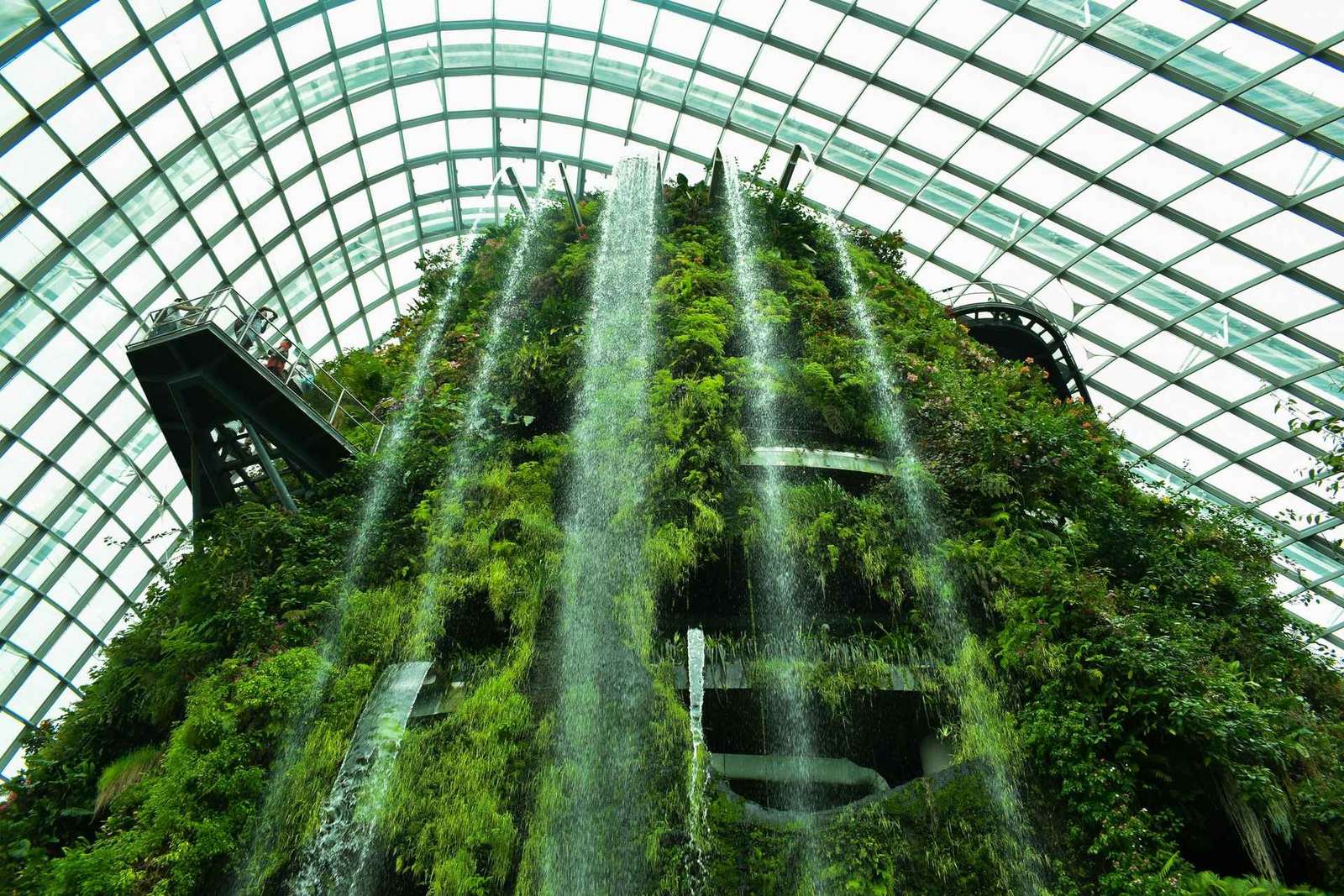 Billet d'entrée à Gardens by the Bay