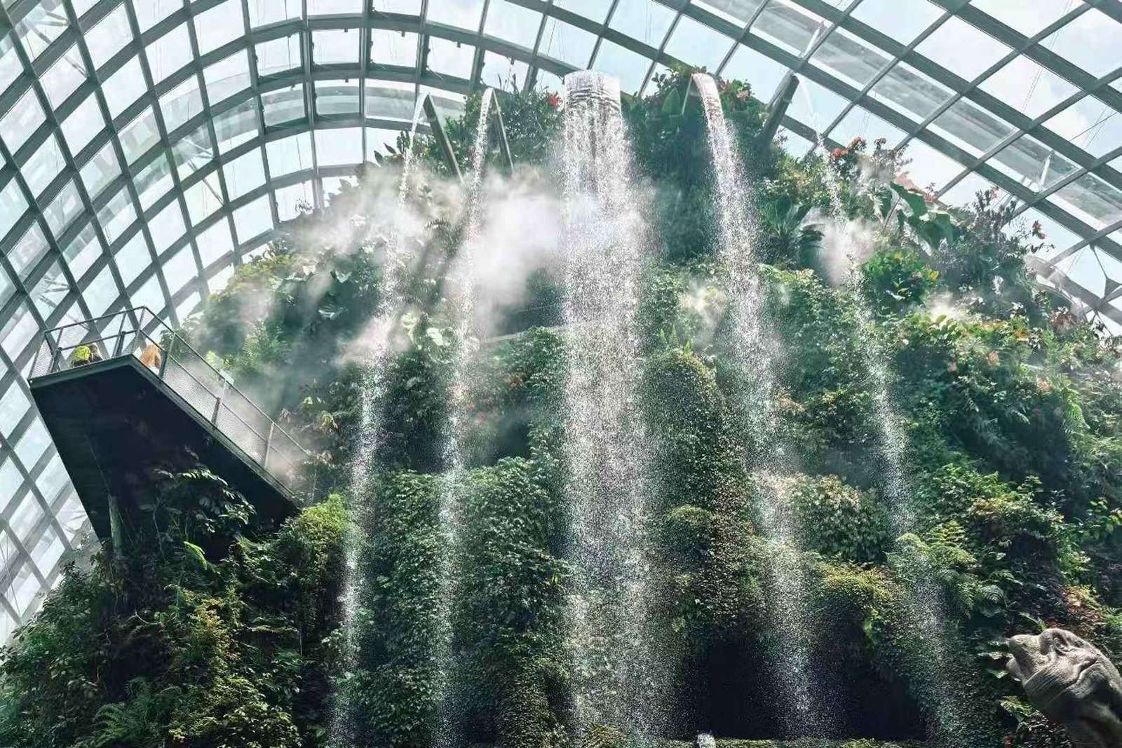 Singapour : billets pour le Flower Dome + la Cloud Forest