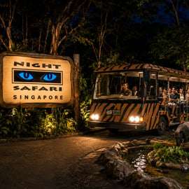 Singapour : safari de nuit, excursion en tram et prise en charge à votre hôtel