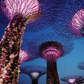 Singapour : Visite privée avec chauffeur