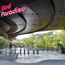 Billet d'entrée avec transferts au parc Bird Paradise
