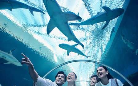 Singapour : Billet électronique pour l'entrée à l'aquarium S.E.A.