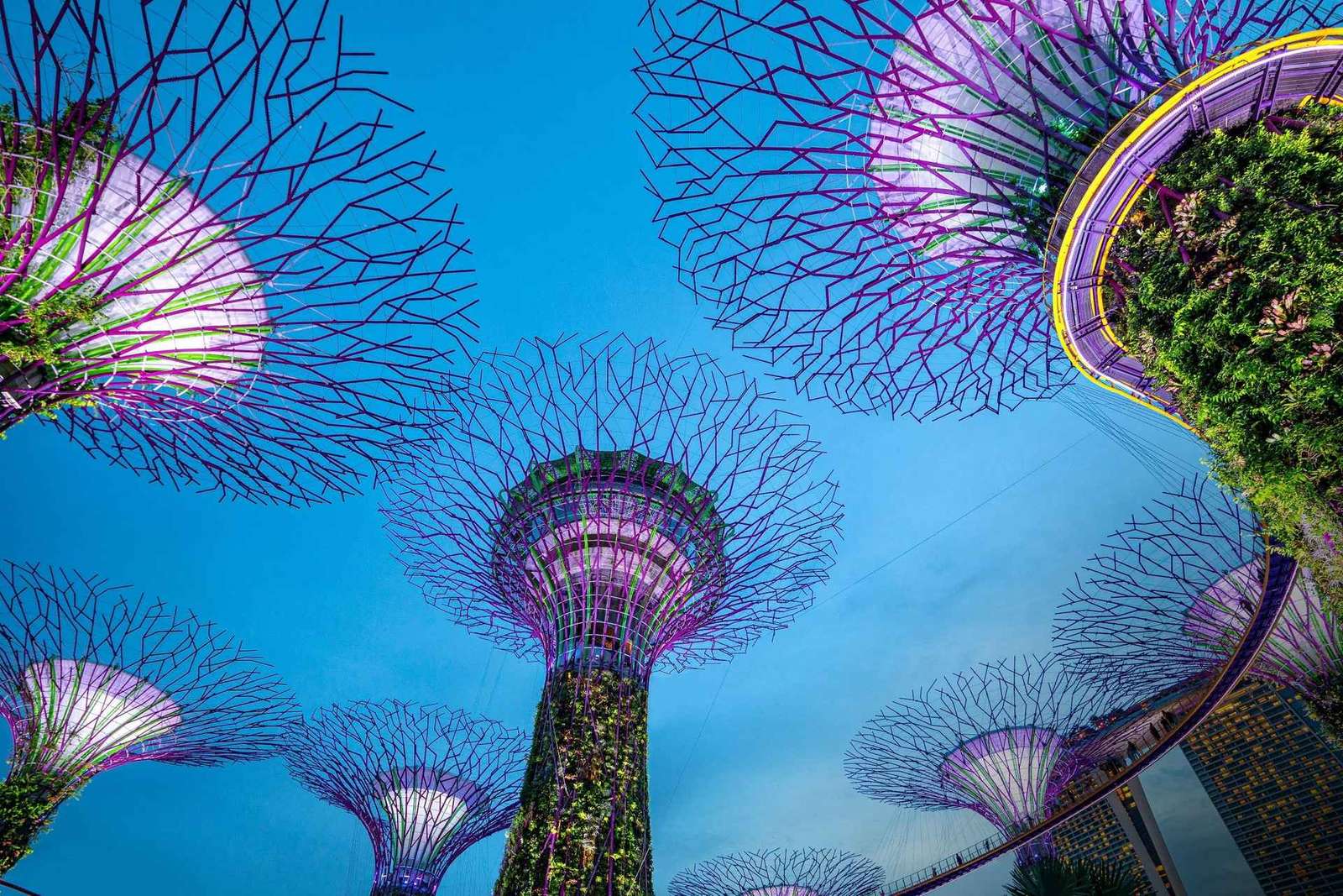 Promenade nocturne à Marina Bay avec les spectacles Spectra et Rhapsody