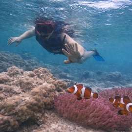 Au départ de Singapour : plongée en apnée et canoë privé sur l'île de Batam