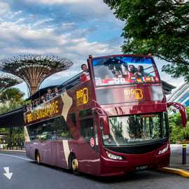 Singapour : visite en bus à arrêts à arrêts multiples multiples