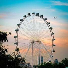 Singapour : billet à entrée programmée pour le Singapore Flyer et la Time Capsule