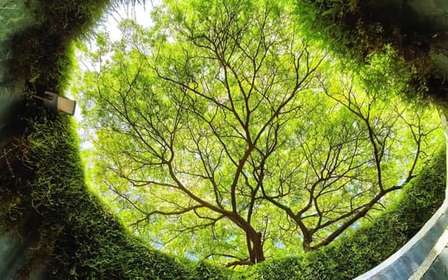 Singapour : visite de 12 lieux d'intérêt avec temps libre et transferts