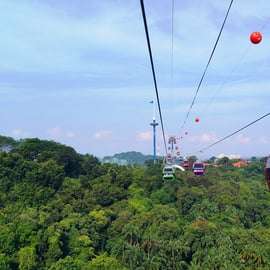Singapour : Explorer Pass : économisez jusqu'à 50 % sur 2 à 7 attractions
