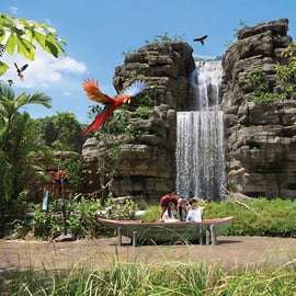 Destination Pass 1 jour de 2 attractions à Mandai : billets uniquement