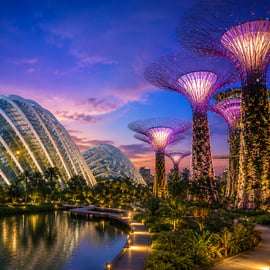 Billet d'entrée pour Gardens by the Bay