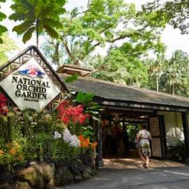 Singapour : Billets d'entrée au National Orchid Garden