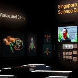 Singapour : billet d'entrée au musée ArtScience