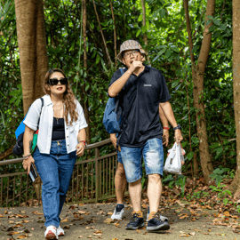 Singapour : Faber Peak : visite guidée à pied avec petit-déjeuner