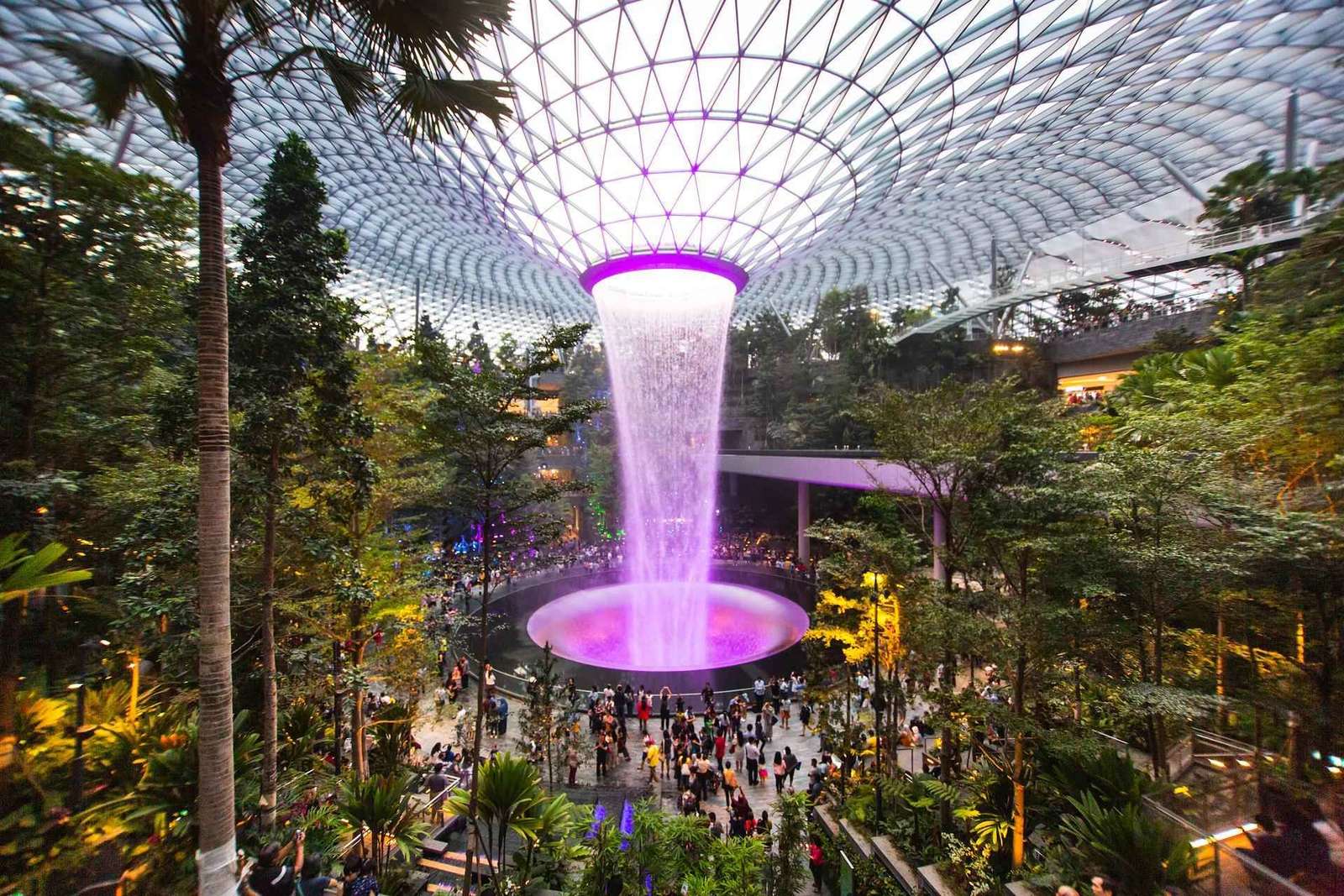 Accueil à Singapour : visite privative personnalisée de Jewel Changi