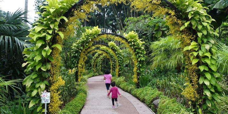 Singapore Botanic Gardens