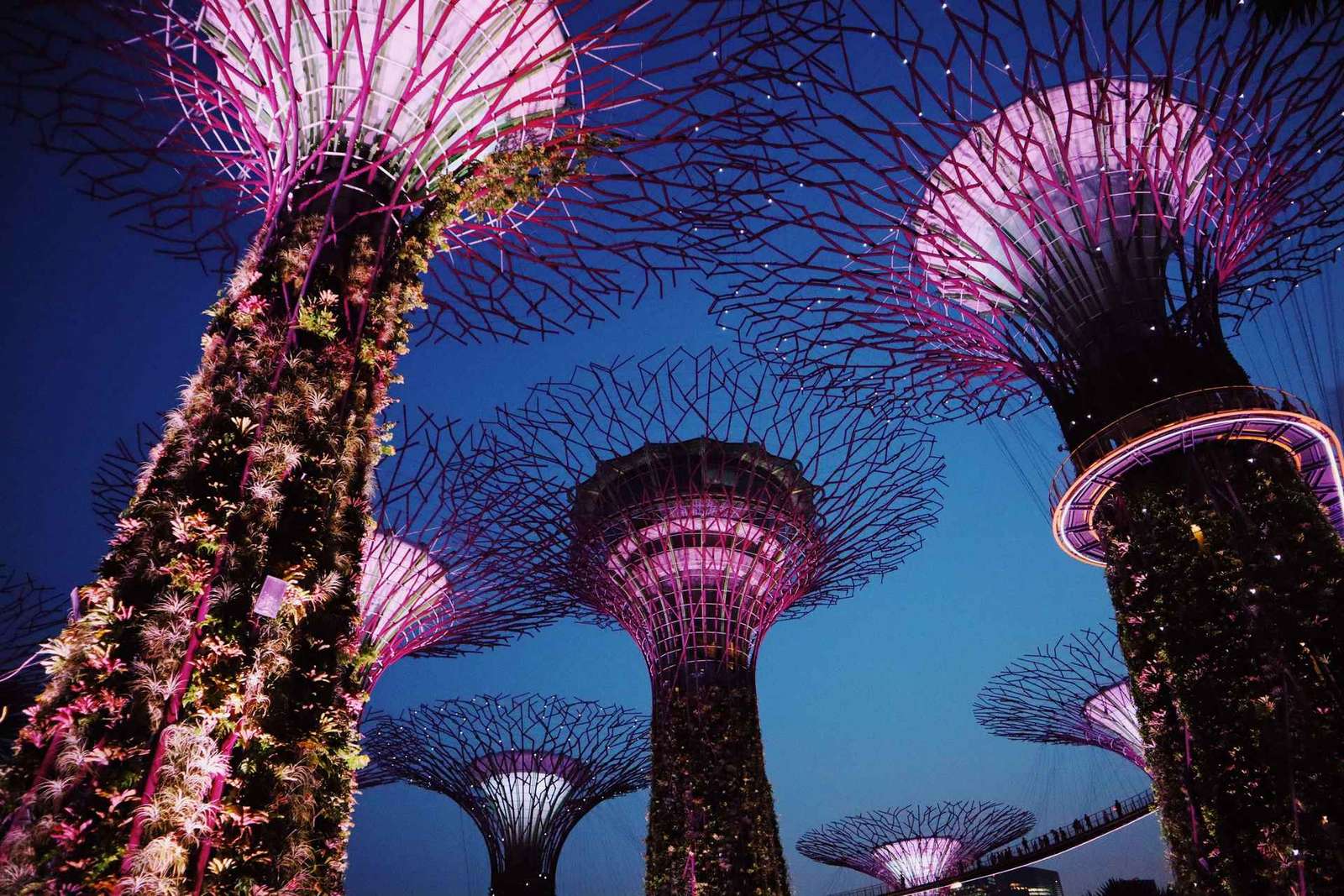 Singapour : Visite privée avec un guide de la région