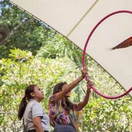 Singapour : billet d'entrée pour le paradis des oiseaux