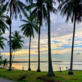 Singapour : balade panoramique à vélo avec coucher de soleil et repas