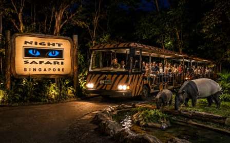Singapour : safari de nuit, excursion en tram et prise en charge à votre hôtel
