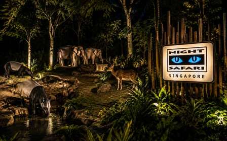 Singapour : safari de nuit avec excursion en tram et prise en charge à l'hôtel