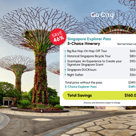 Singapour : Explorer Pass : économisez jusqu'à 50 % sur 2 à 7 attractions