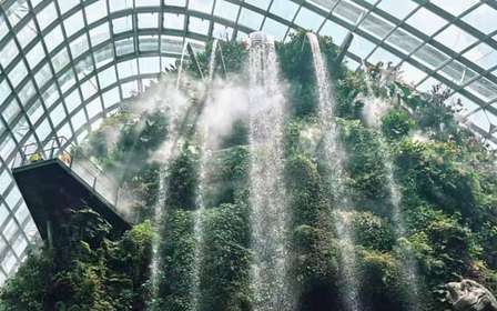 Singapour : billets pour le Flower Dome + la Cloud Forest