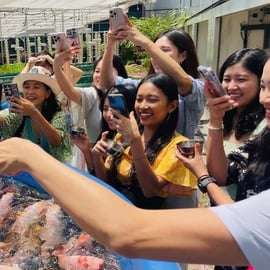 Singapour : visite guidée à vélo des fermes et jardins urbains