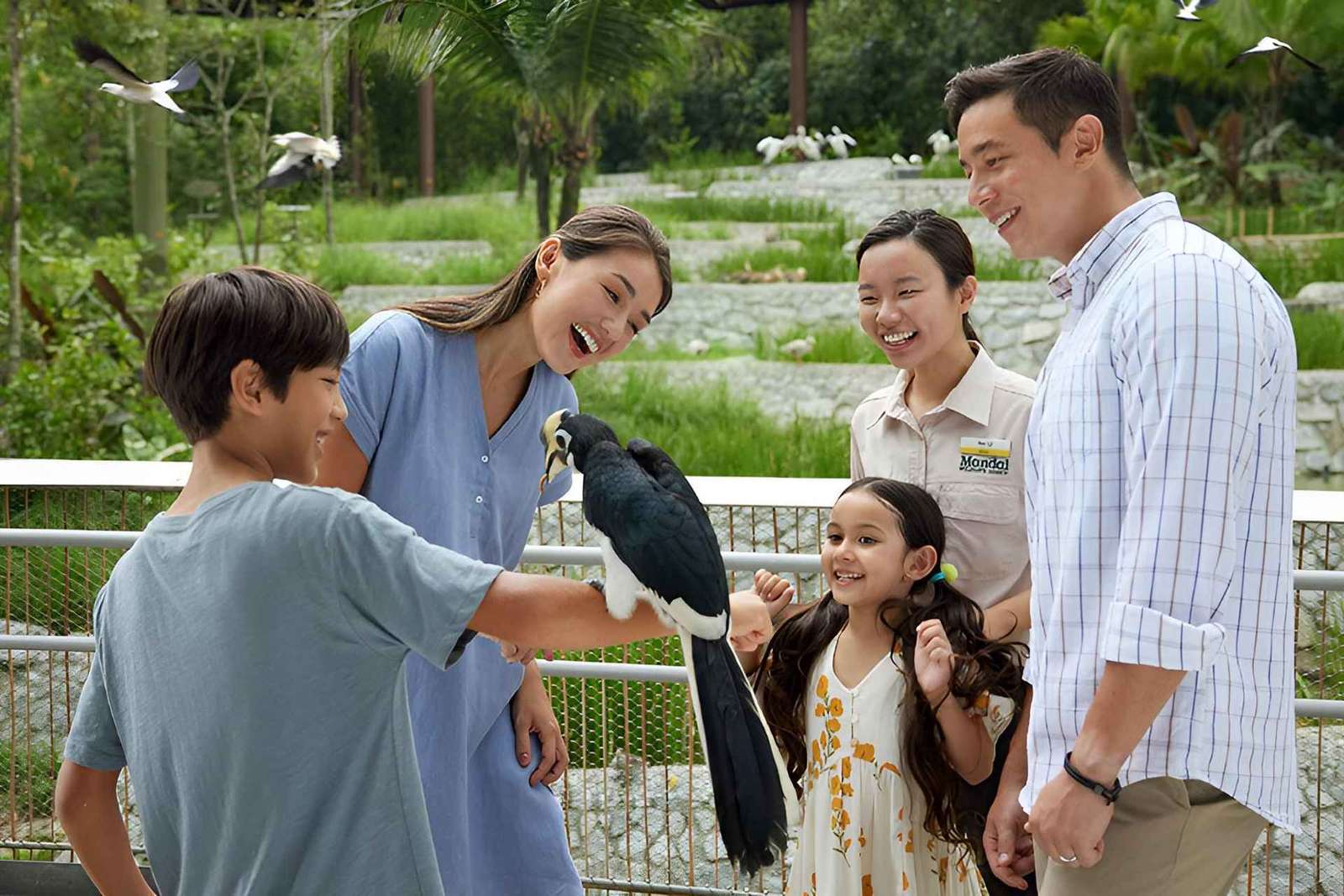 Singapour : billet d'entrée pour le paradis des oiseaux