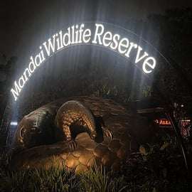 Billet d'entrée pour le Night Safari avec spectacle