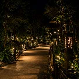 Singapour : safari de nuit, excursion en tram et prise en charge à votre hôtel