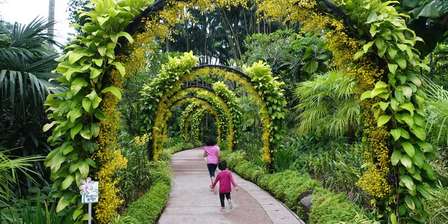 Singapore Botanic Gardens