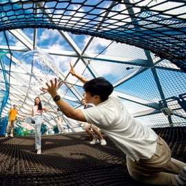 Singapour : billet d'entrée au Canopy Park de l'aéroport Jewel Changi